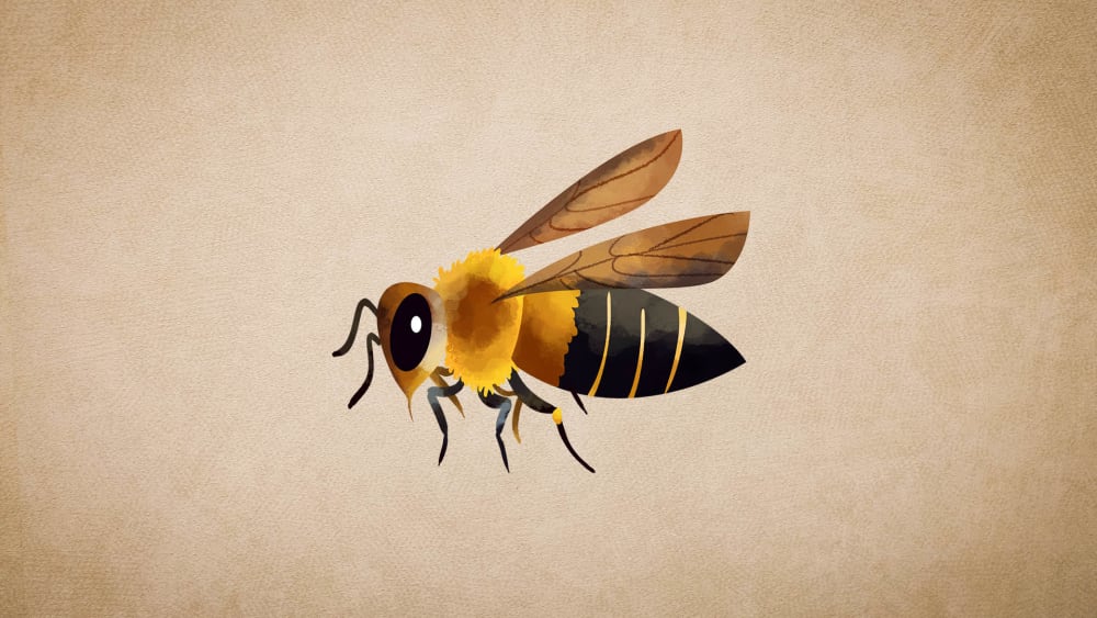 Himalayan Giant Honeybee: Facts, Habitat, Life Cycle