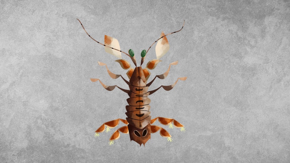 Mantis Shrimp: Facts, Eyesight, Strike
