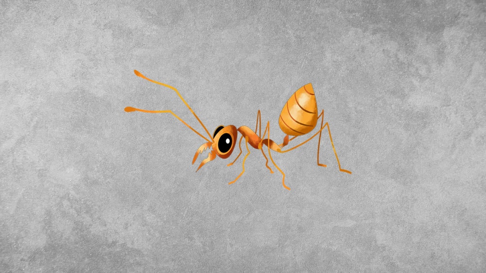 Weaver Ants: Facts, Defence Strategies, Habitat