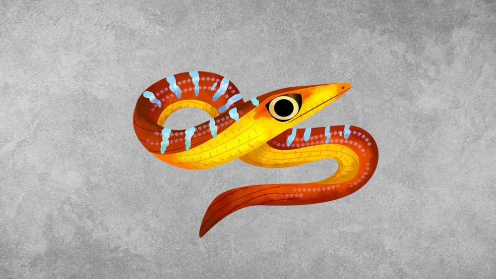 Asian Glass Lizard: Facts, Habitat, Range