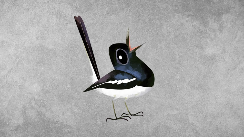 Oriental Magpie Robin: Habitat, Calls, Nesting Behaviour