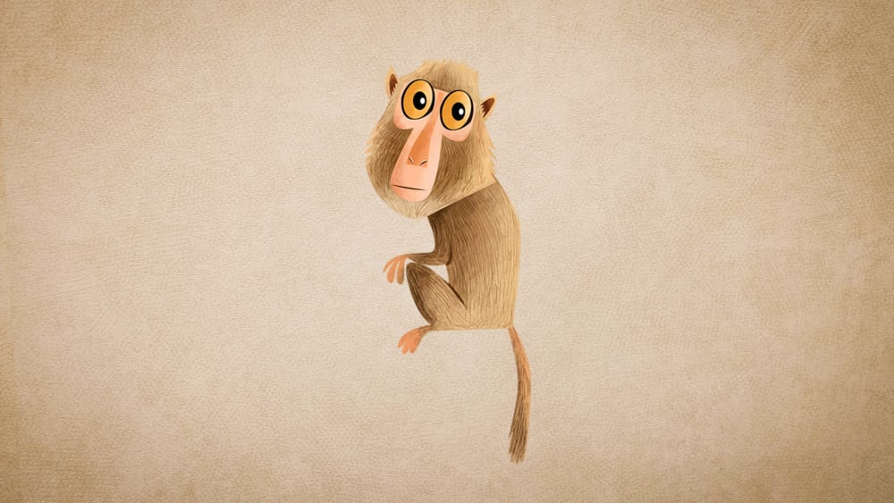 Rhesus Macaque: Facts, Range, Communication