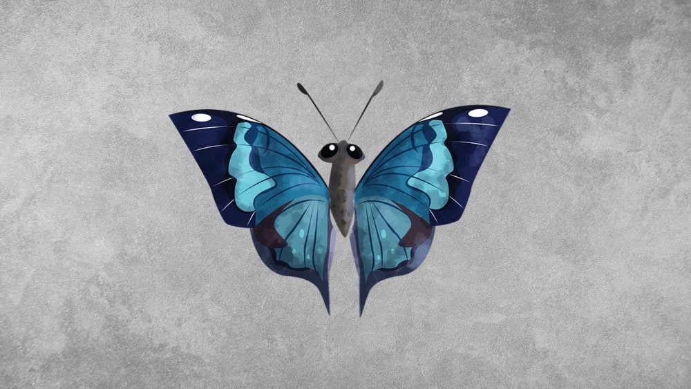 Blue Oakleaf Butterfly: Facts, Range, Disguise