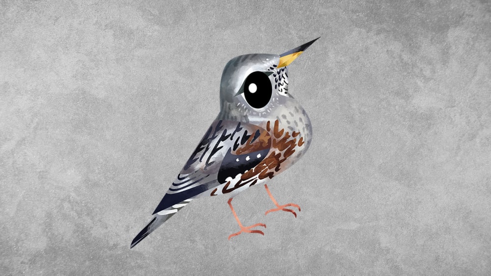 Alpine Accentor: Facts, Habitat, Song
