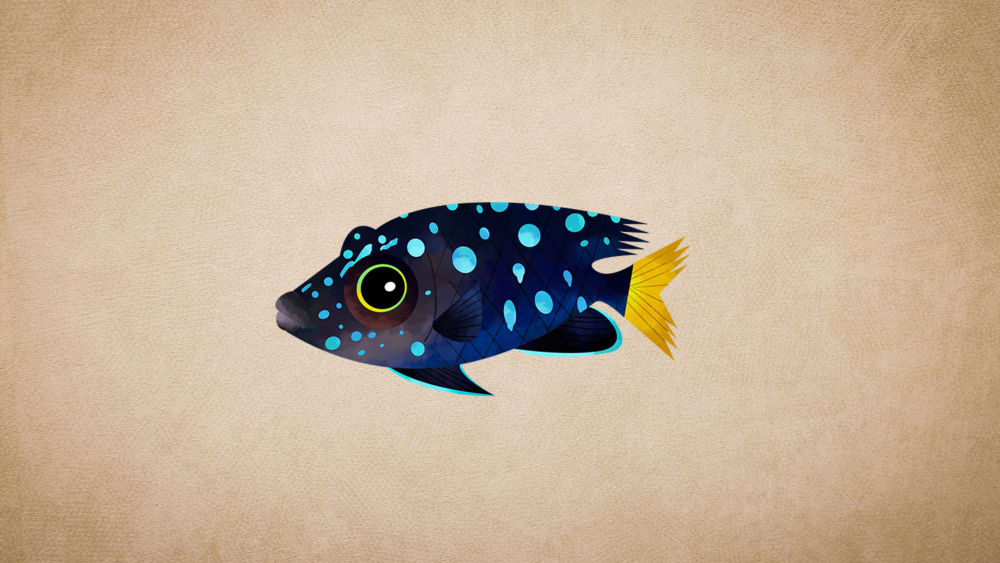 Damselfish: Facts, Habitats, Courtship