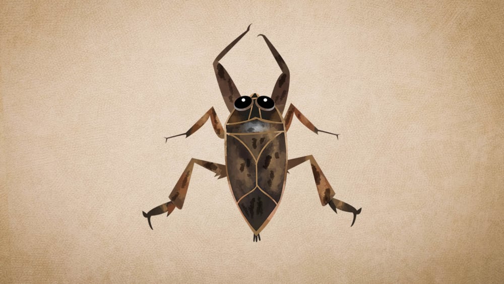 Giant Water Bugs: Facts, Habitats, Defences
