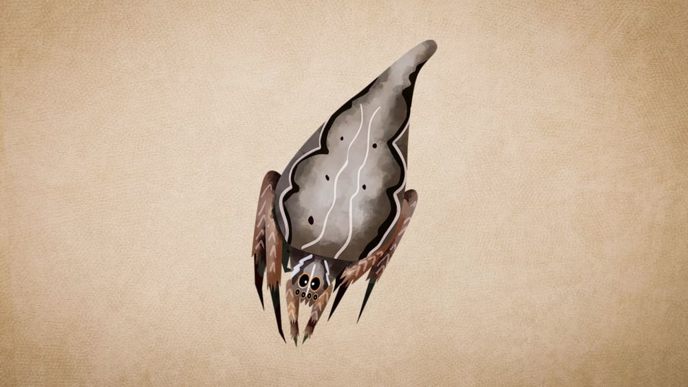 Sorting Hat Spider: Facts, Discovery, Distribution