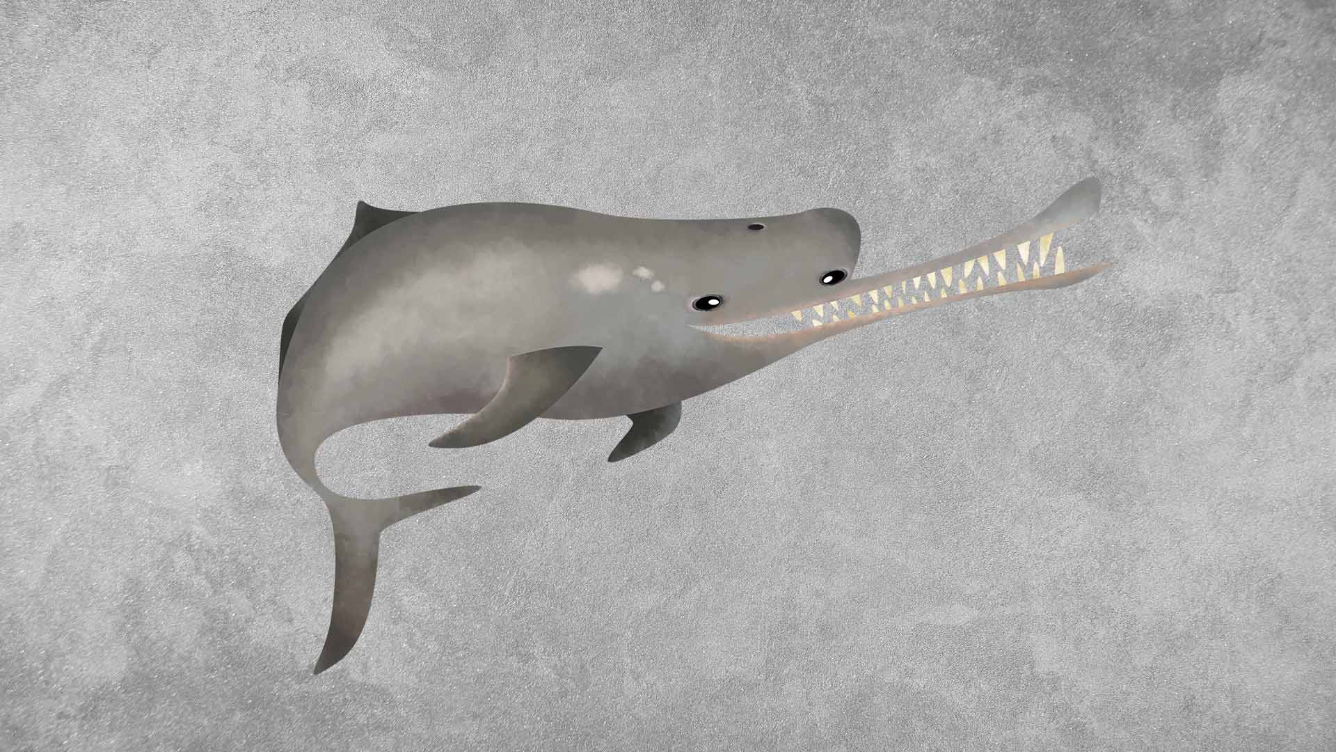 Ganges River Dolphin: Facts, Population, and Protection Status