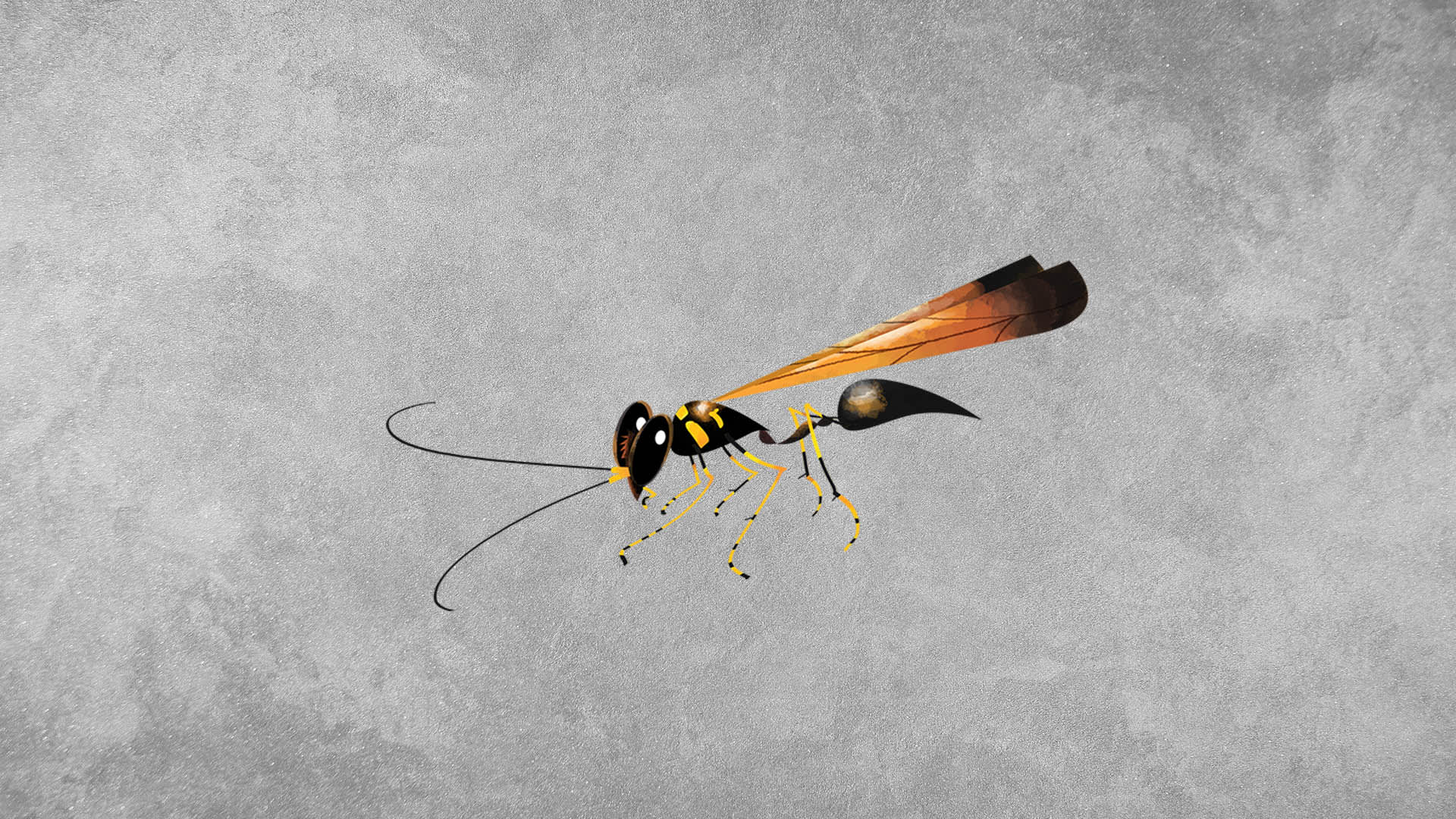 Mud Dauber: Facts, Diet, Nesting