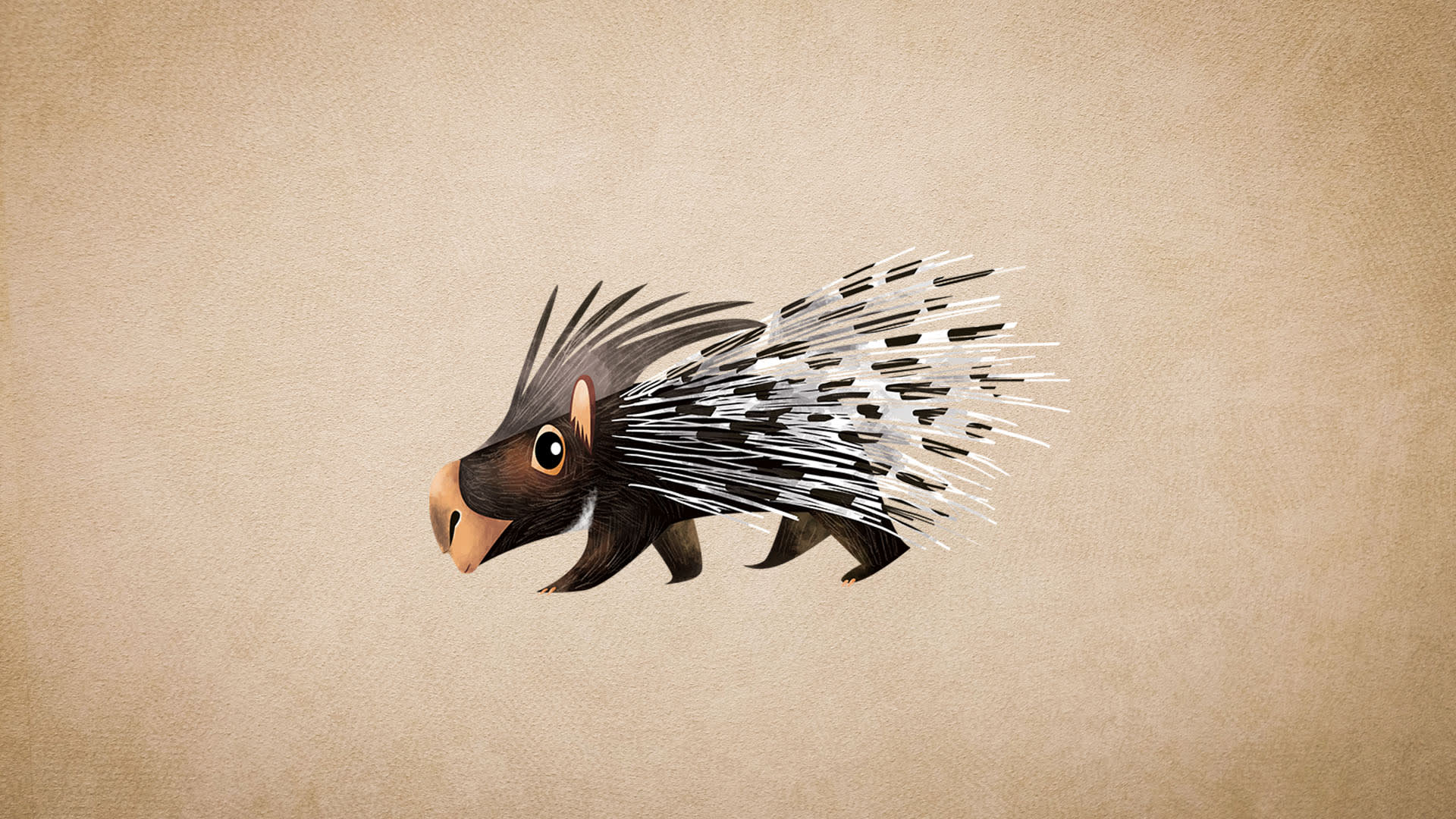 Indian Crested Porcupine: Facts, Quills, Predators