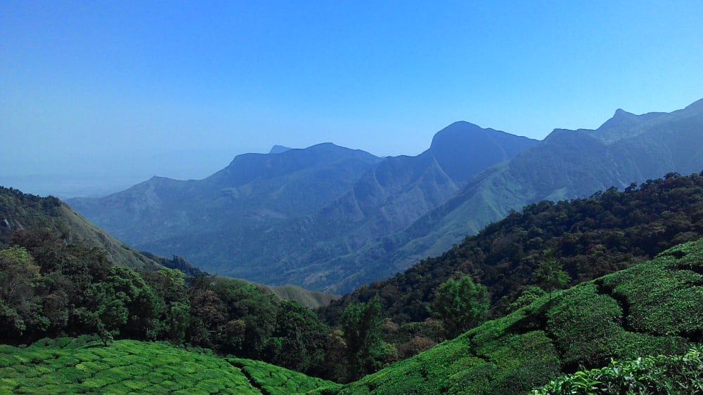Biodiversity Enhancement in Western Ghats Linked to Habitat Preservation