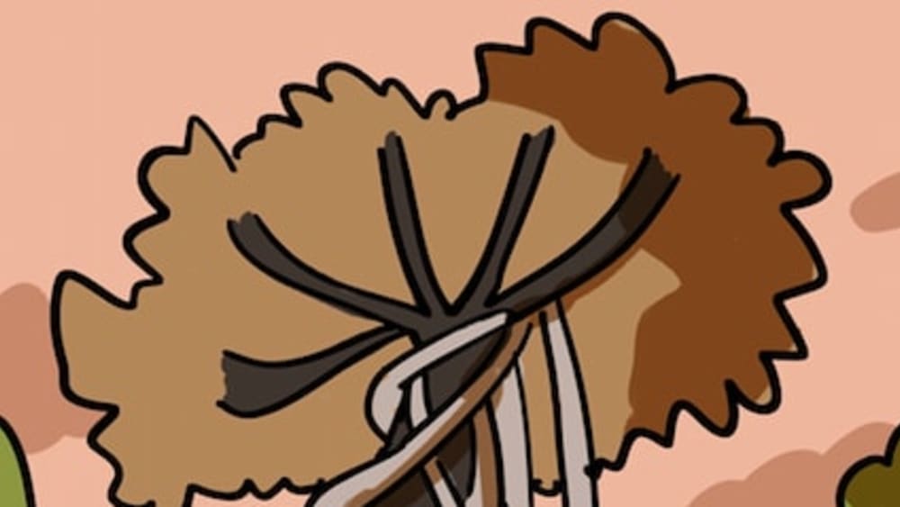The Woes of Dating a Strangler Fig