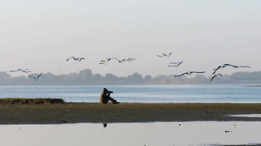 Flight of Hope: Saving Rajasthan's Chandlai Lake