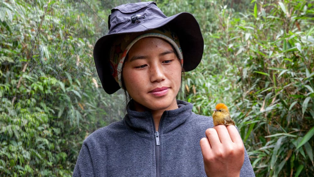 Arunachal’s birds: Canary in the Coalmine