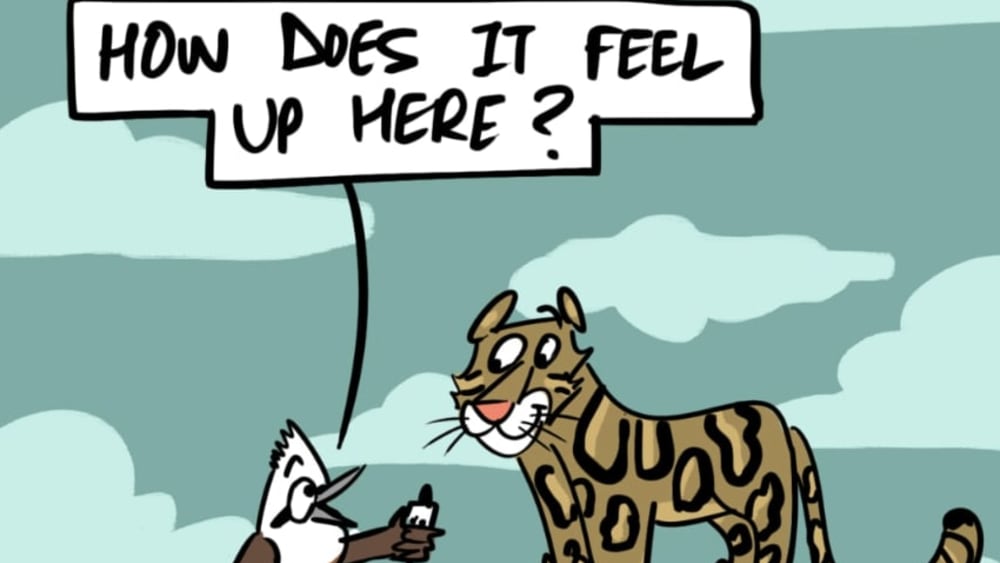 Clouded Leopard: A Sighting in the Clouds