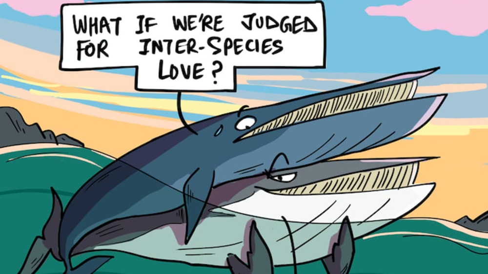 This Fin Whale Knows How to Deal with Haters