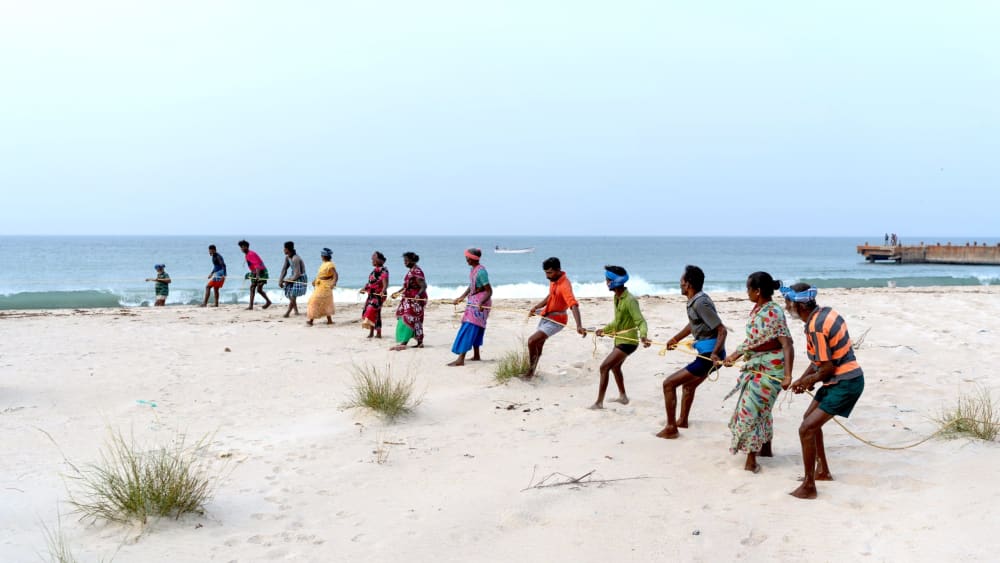 Artisanal Fishers of Rameswaram Stand Against Polluting Shrimp Farms on the Island