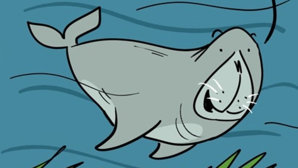 A Big Win for Dugongs!