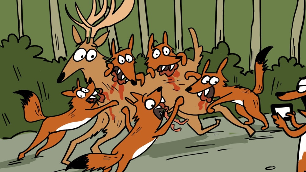Will Dholes be the New #InstagramInfluencers?