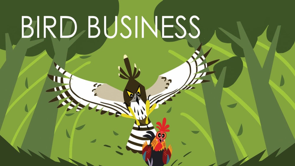 An Illustrated Guide to the Daily Lives of Birds