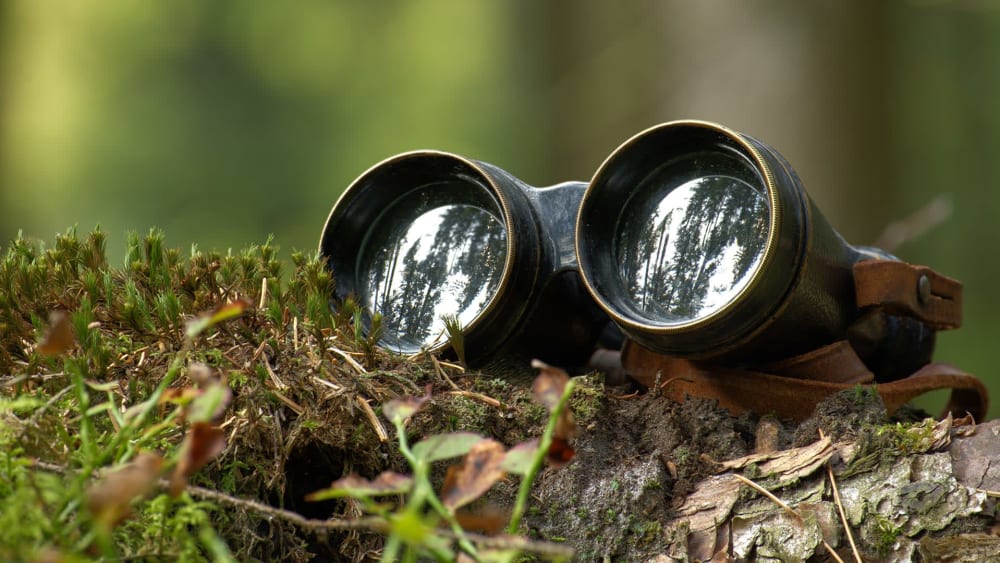 Observation as an Antidote to Intolerance
