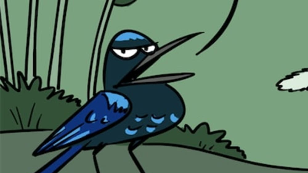 The Malabar Whistling Thrush Raises an Objection