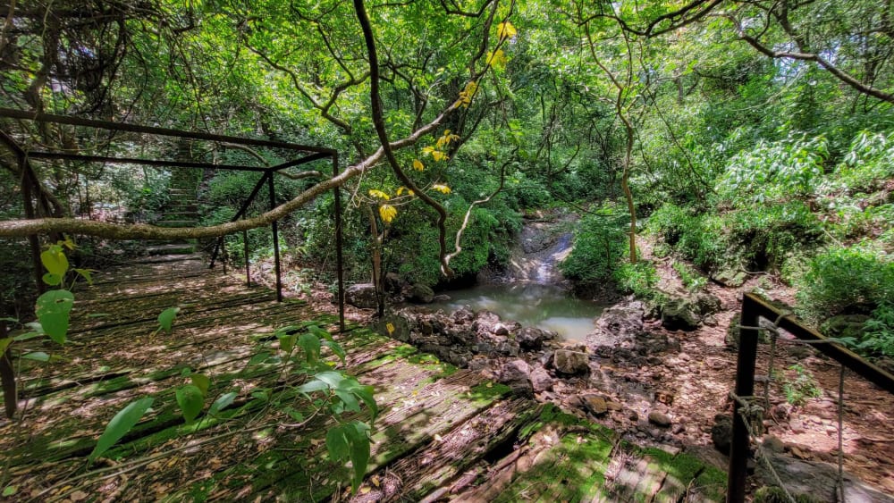 BNHS Nature Reserve: Mumbai’s Sacred Trove of Biodiversity
