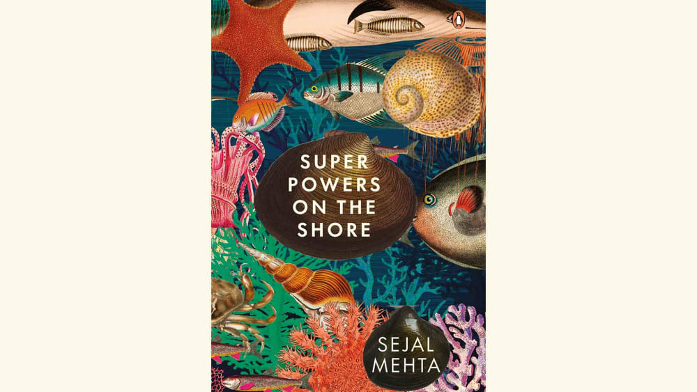 Through the Magic Portal, to a World of Marine Superheroes