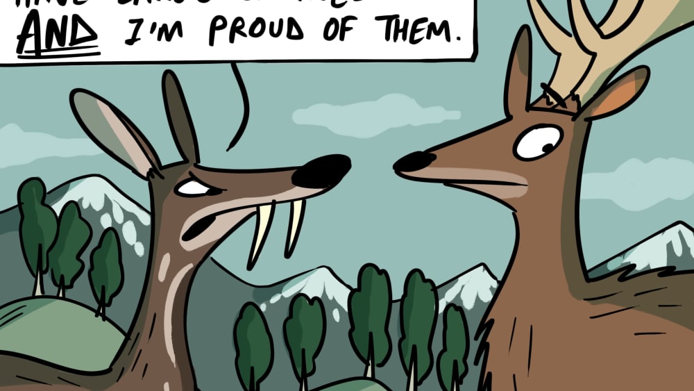 A Musk Deer Defends his Canines