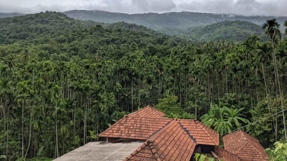 Escape From the City: How I Found a Home in the Wilderness