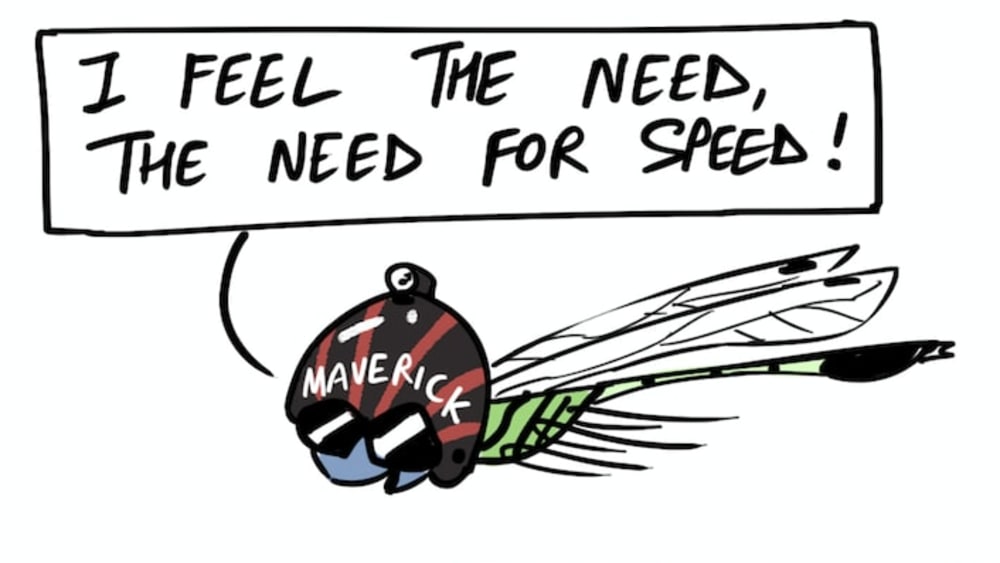 Dragonfly: The Fastest Flying Insect