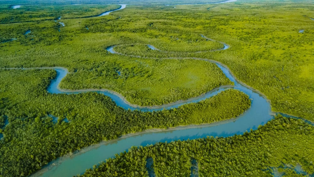The Inner Workings of Resilience in the Sundarbans