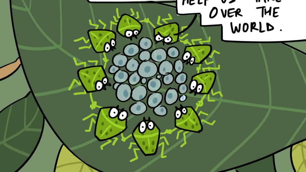 Who Knew Stink Bugs Were Plotting World Domination