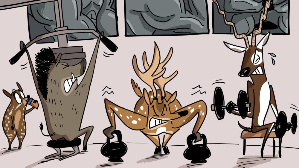 At the Indian Ungulate Gym