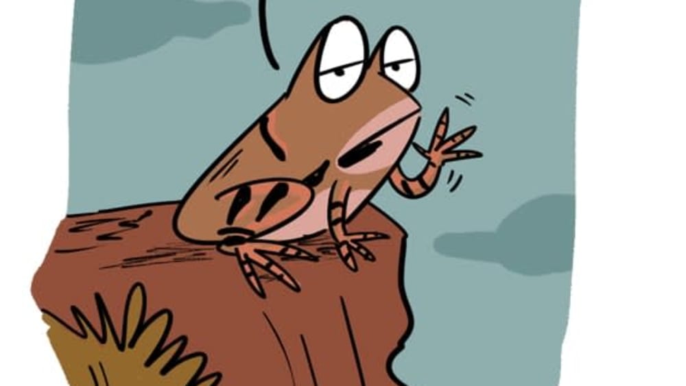 Don't Keep Conservation for Later-ite! Warning from the Laterite Narrow-Mouthed Frog