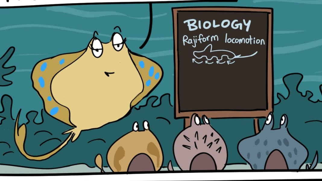 Sleeper Ray Goes Through the Motions
