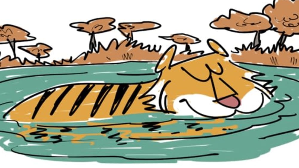 Only the Coolest Cats Get Picked for the Swimming Summer Camp!