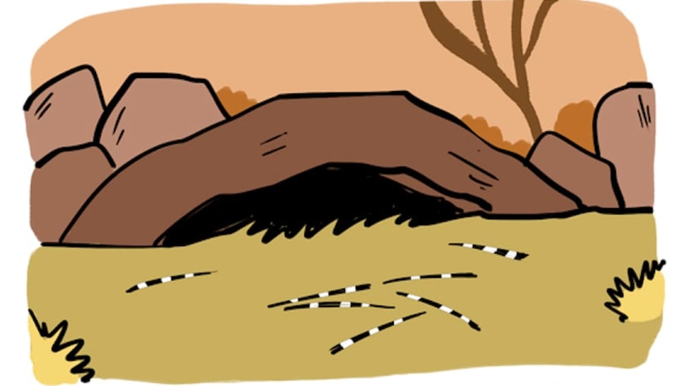 How to Spot a Porcupine's Cave