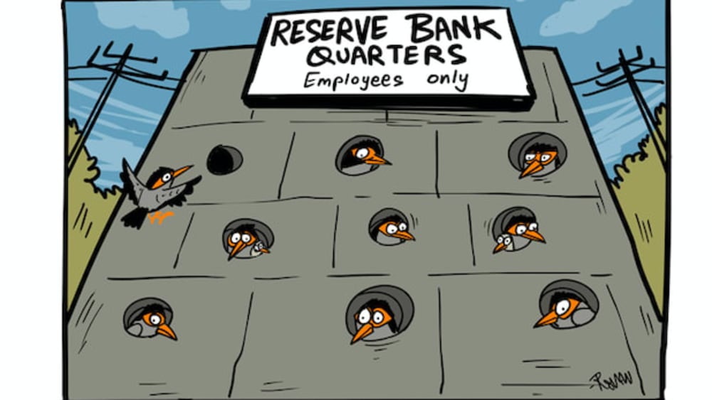Bank Mynas Take Matters in Their Own Hands