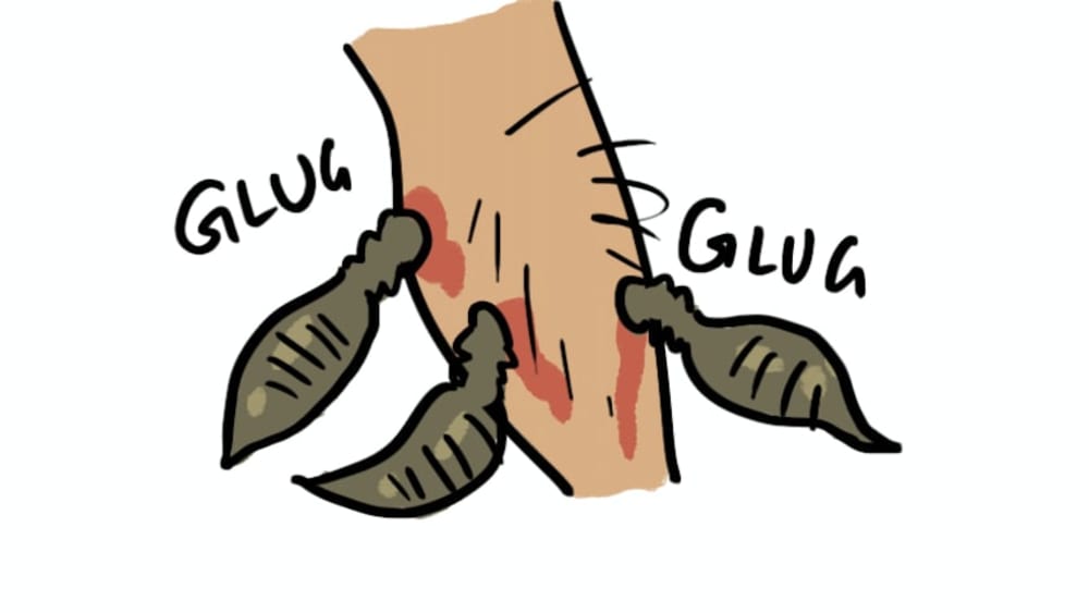 How to Live Like a Leech