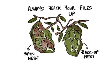 Calling All Artists, the Weaver Ant has Tips!