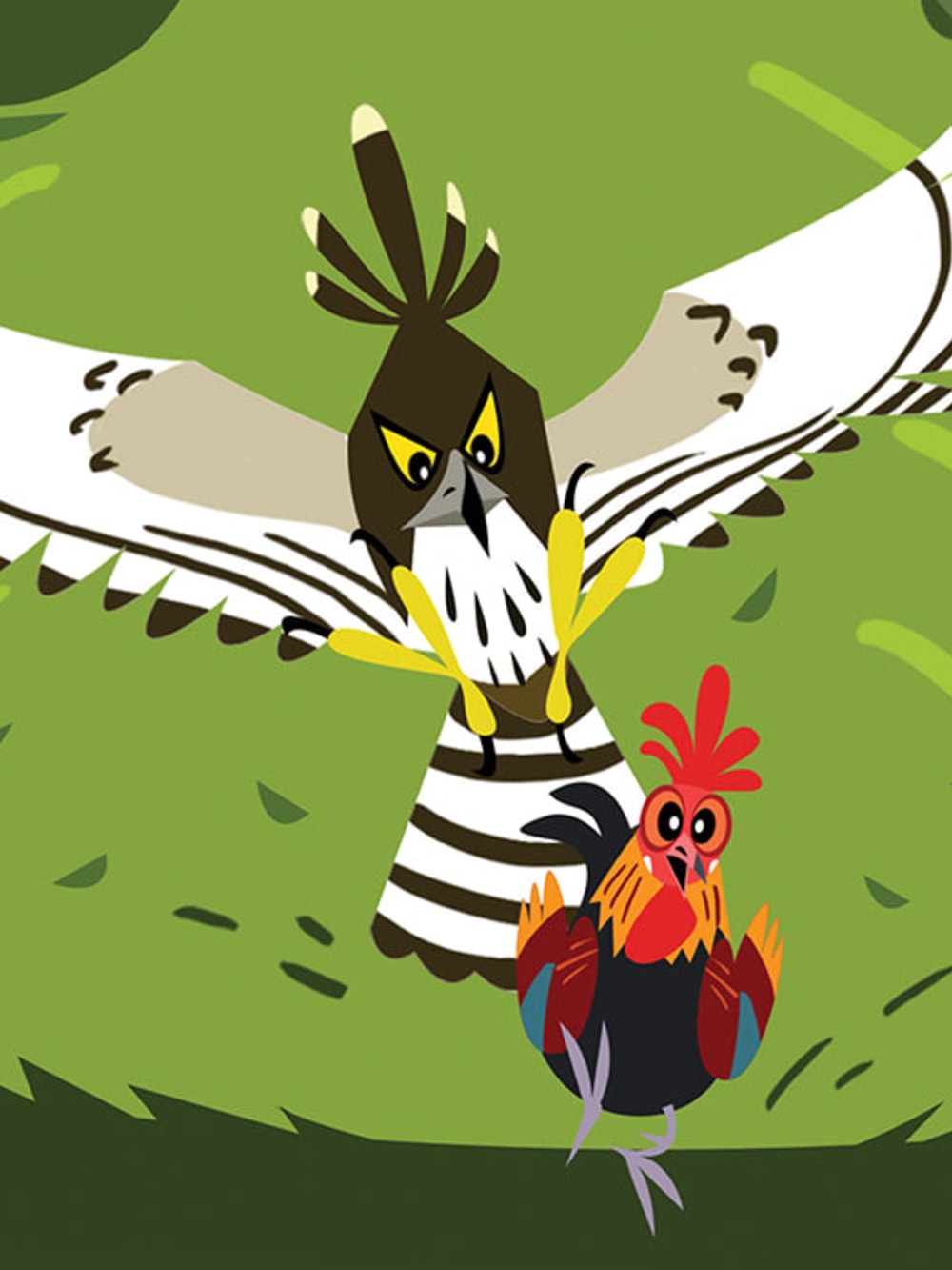 An Illustrated Guide to the Daily Lives of Birds