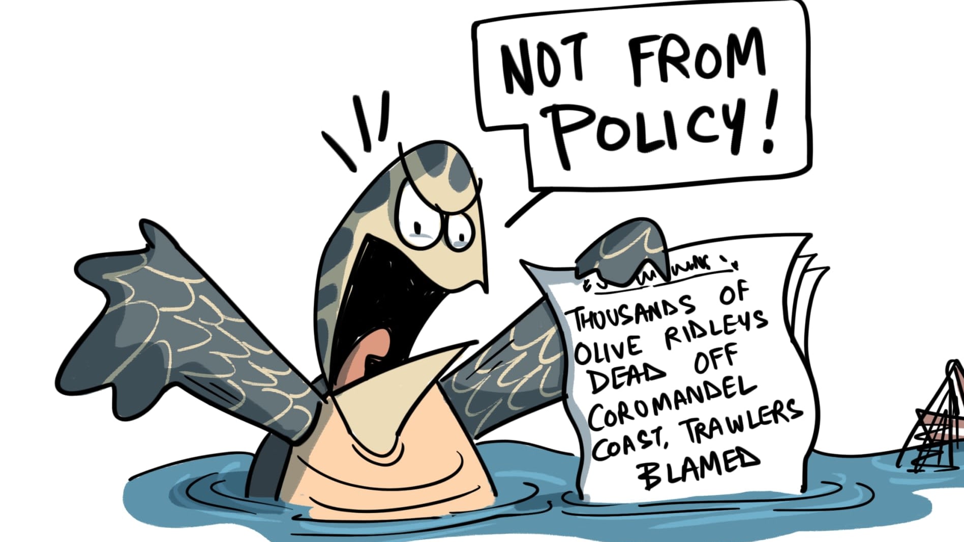 The Olive Ridley Turtle's TED Talk