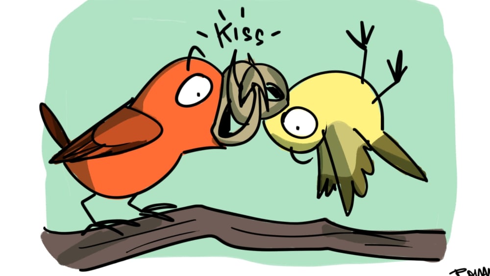 How Does a Crossbill Kiss?