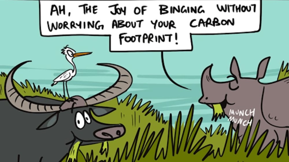 Wild Herbivores Keep Tabs on Their Carbon Footprint