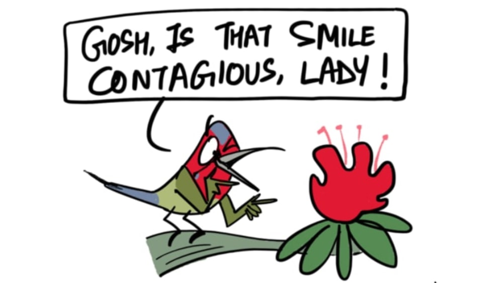 Red Alert: Celebrating Reds with the Rhododendrons
