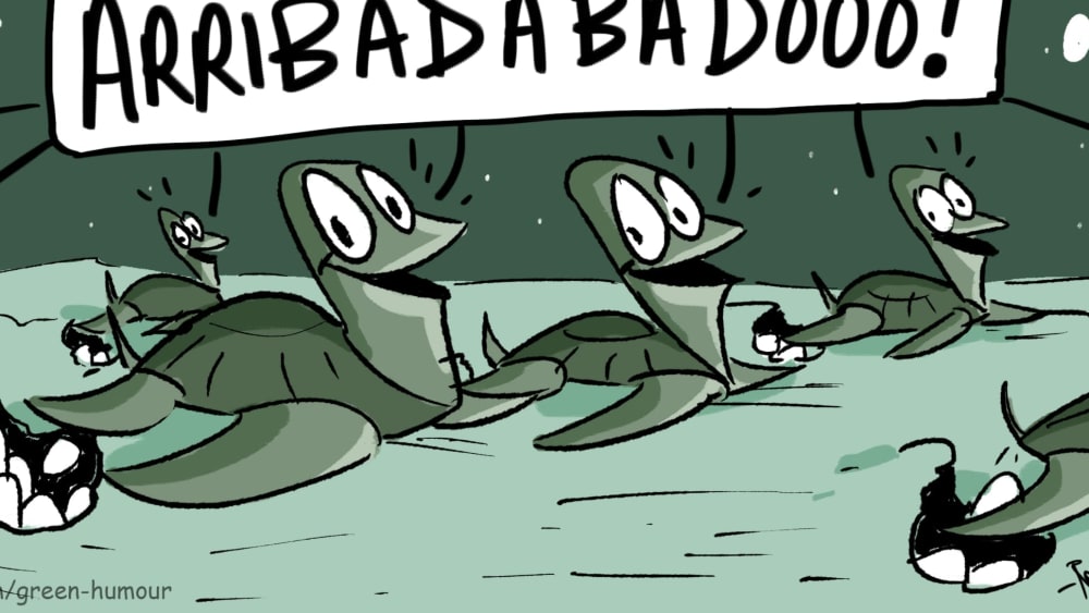 Arribadabadoo! The Olive Ridley Turtle Arribada Breaks All Records