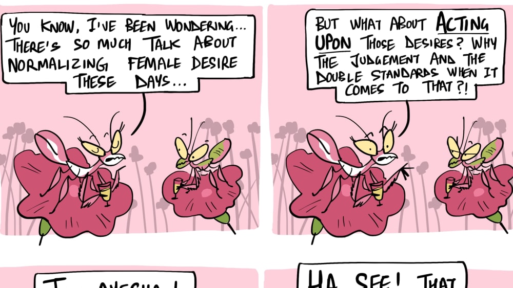 Don't judge a flower mantis