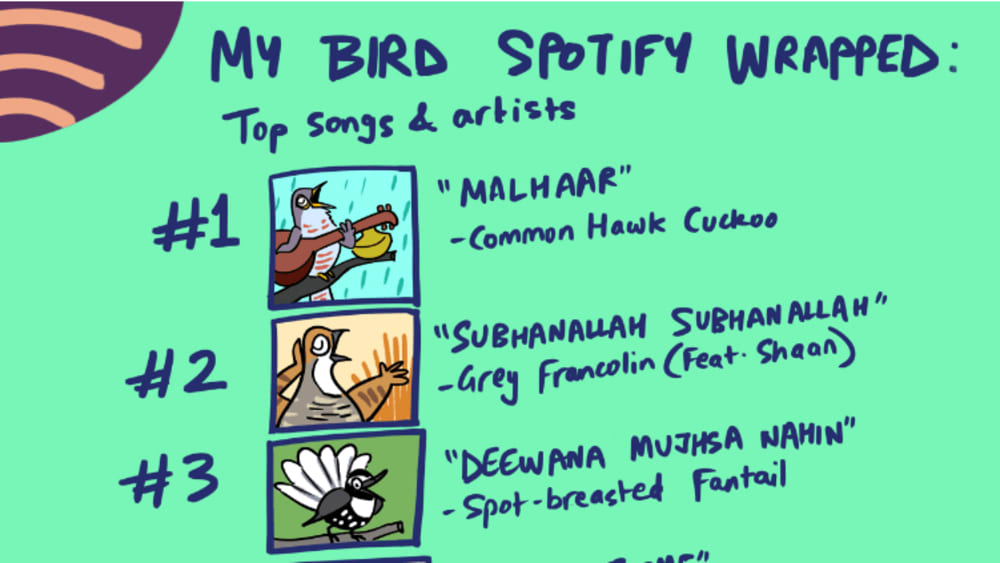 Spotify Wrapped: My Top Six Bird Songs