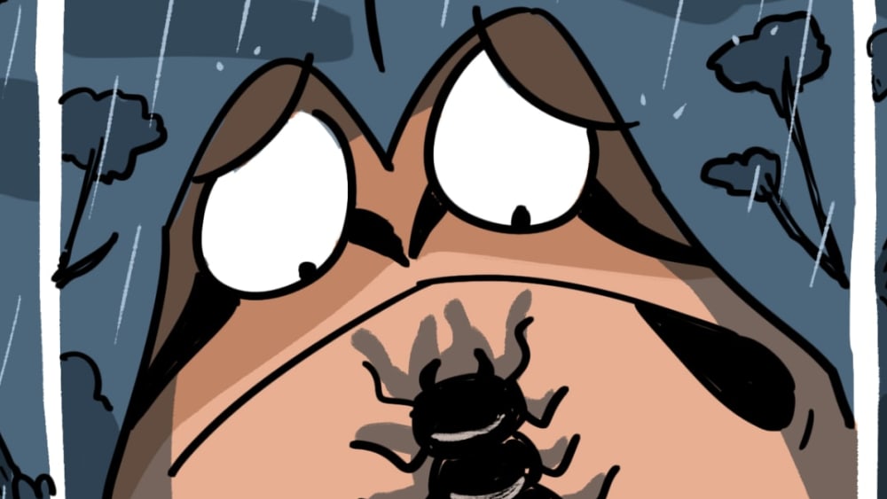 Epomis Beetles and their Amphibian Meals
